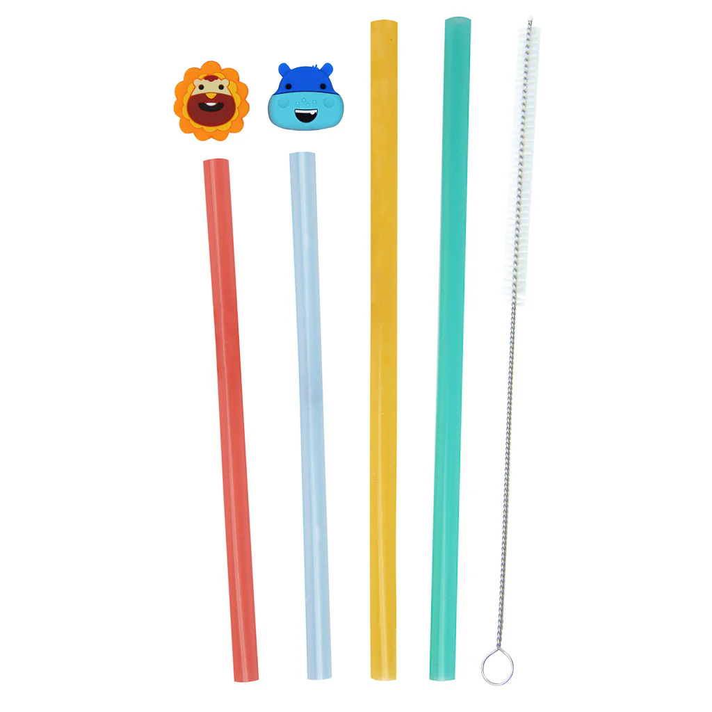 Reusable Straw Set